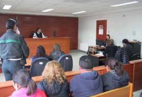 Puerto Montt: juzgado de garantia decreta prisión preventiva de imputada por parricidio en Alerce