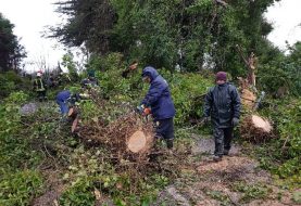 Puerto Varas: fuertes ráfagas de viento han provocado diversas emergencias en distintos puntos de la comuna
