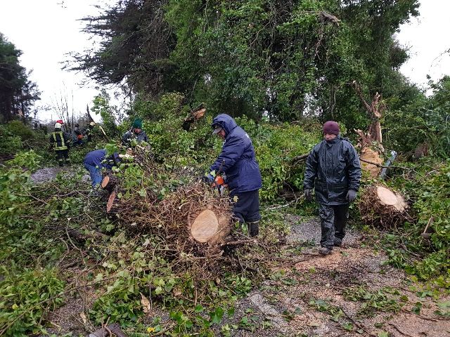 Puerto Varas: fuertes ráfagas de viento han provocado diversas emergencias en distintos puntos de la comuna