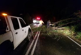 Puerto Varas:  llaman a estar atentos ante vientos y precipitaciones que se dejarán sentir en la zona