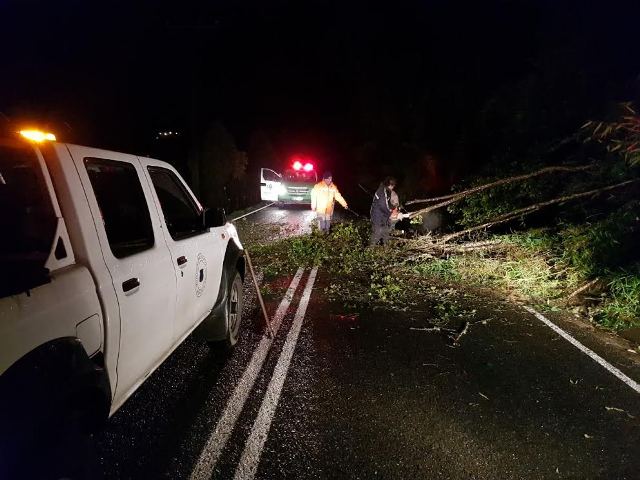 Puerto Varas:  llaman a estar atentos ante vientos y precipitaciones que se dejarán sentir en la zona