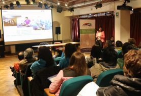 Puerto Montt: Forman mesa de trabajo con organizaciones animalistas