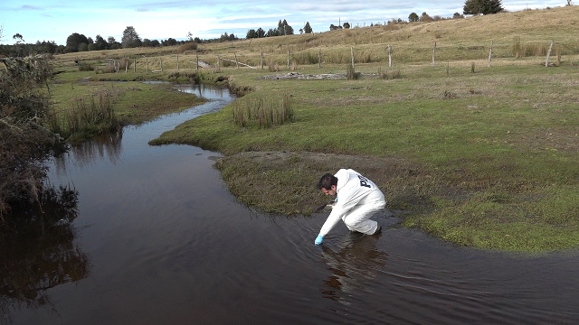 Puerto Montt: Culminan diligencias para determinar responsables  Por grave contaminación del estero Chinchihuapi