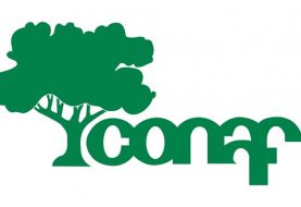 CONAF da conocer posible caso de HantaVirus de un guardaparque del Parque Nacional Puyehue