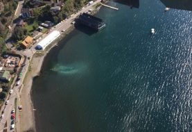 Ministerio del Medio Ambiente busca que Consejo de Defensa del Estado se haga parte en denuncia por contaminación del Lago Llanquihue