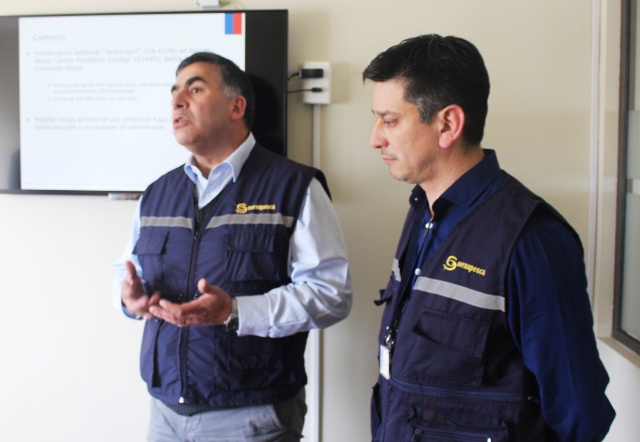 Chiloé: Sernapesca decreta cierre precautorio de zona de hundimiento de wellboat