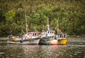 SUBPESCA oficializa renovación de zonas contiguas tras votación de pescadores de Aysén