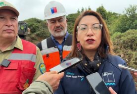 Incendios forestales en la región de Los Lagos: " a la fecha tenemos 9 incendios forestales más que el año pasado"