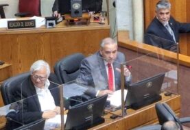 Senado aprueba proyecto de ley de fraccionamiento: Merluza común pasa a comisión mixta