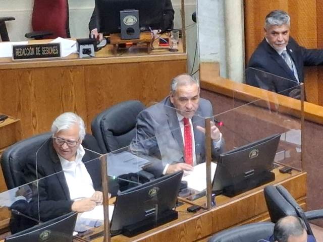 Senado aprueba proyecto de ley de fraccionamiento: Merluza común pasa a comisión mixta