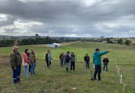 Científicos de INIA continúan trabajando para combatir la plaga del gusano blanco en Chiloé